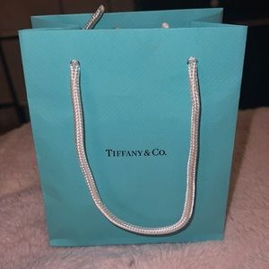 Tiffany and Co. Small Shopping Bag